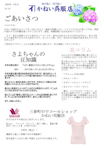 ニュースレター
