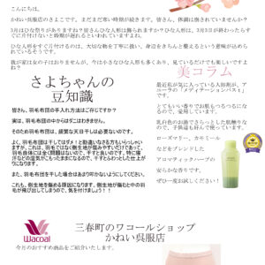 ニュースレター