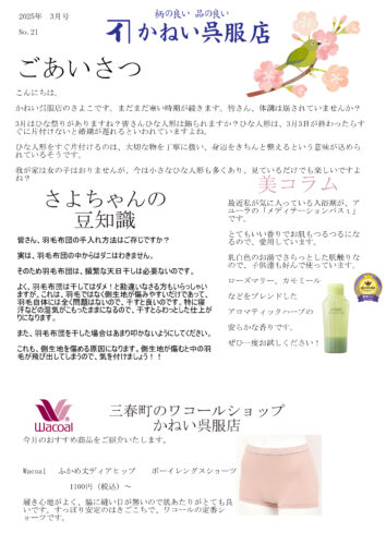 ニュースレター