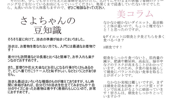 ニュースレター