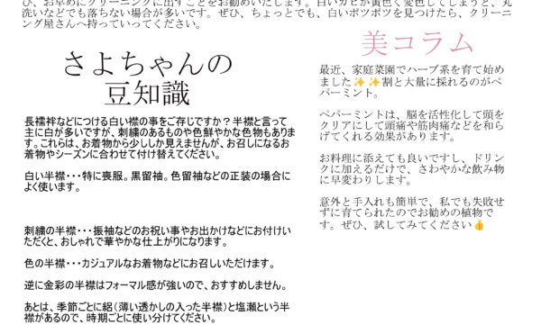 ニュースレター