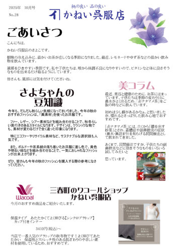 ニュースレター